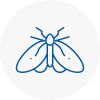 Moth Control Specialists In Greenhill